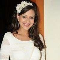 Madalasa Sharma at Feel My Love Press Meet - Pictures | Picture 96491